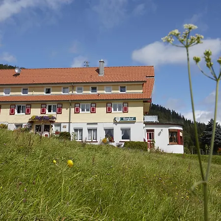Gasthof-pension Berghof Enzklosterle